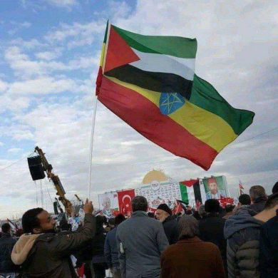 Dinuahmed123456789 Profile Picture