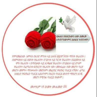 Selam Habeshawit Profile Picture