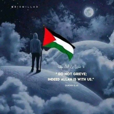 ferid shemsu Profile Picture