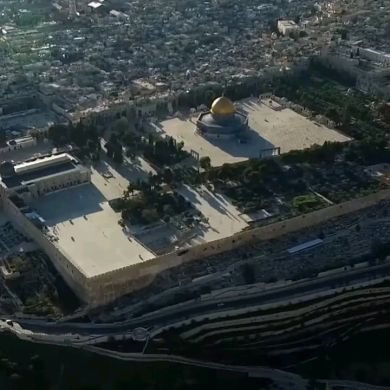 hassen bekele Profile Picture