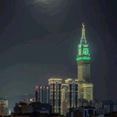 Zeynedin Reshad Profile Picture