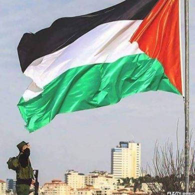 Shafi Molla Ahmed Profile Picture