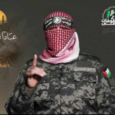 Mahmoud abdelrahim Profile Picture