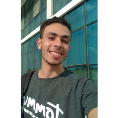 محمد سعيد حماد