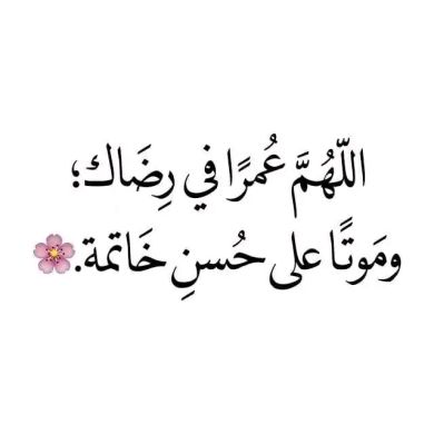 Reshad Meki Profile Picture