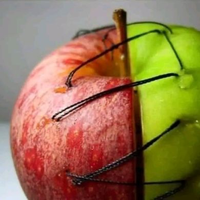 Yassin Musa Profile Picture