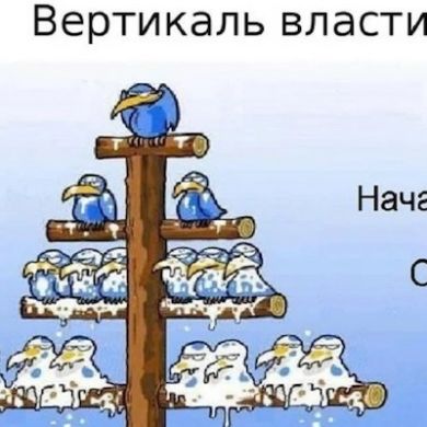 Магомед Магомедов Profile Picture