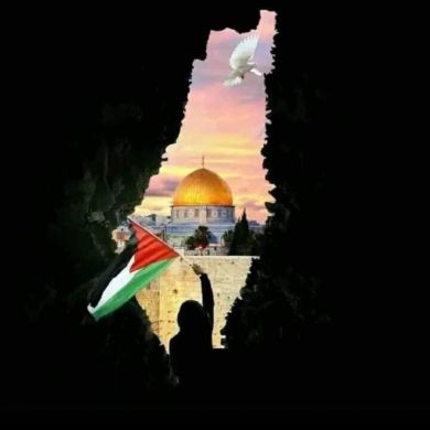 STS STS Profile Picture