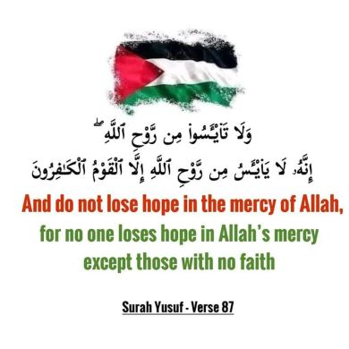 Habel Habel Profile Picture