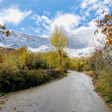 Mohammad Ahmad Profile Picture