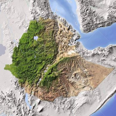 Abu Mohamedul-Fathih Kedir