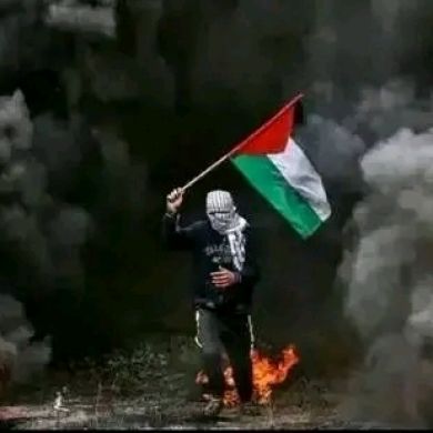 kalid jemal Profile Picture