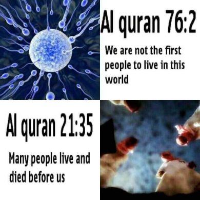 ምዕመናን ወንድማማቾች ናቸው