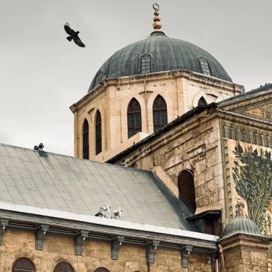 Abo-Omar-Damas أبو عمر Profile Picture