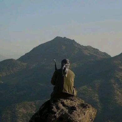 AHMED ELBOGDADY Profile Picture