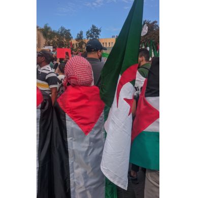 abeer benlemdjaldi Profile Picture