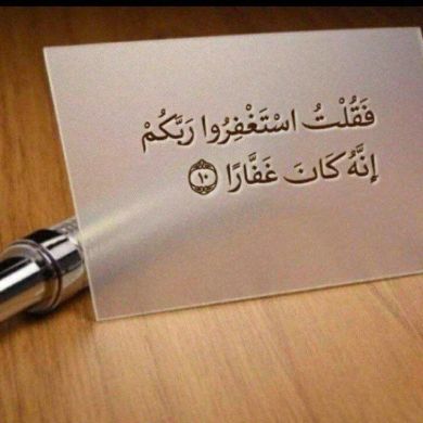 haykel muhamed Profile Picture