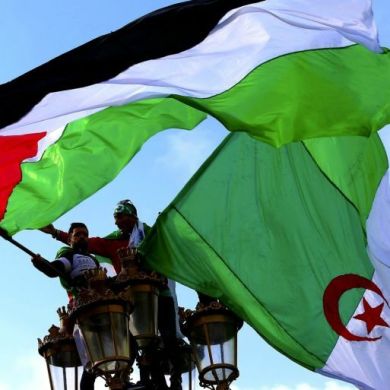 محمد العربي الجزائري