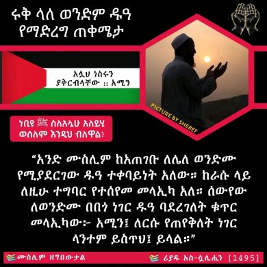 Mohammed Muzemil Profile Picture