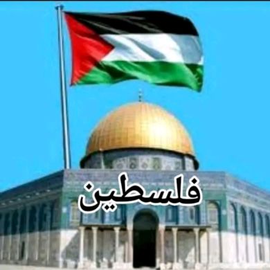 Jemil Abdrmejid Profile Picture