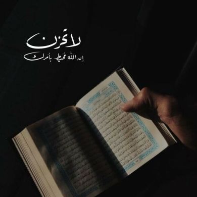 seid hussen Profile Picture