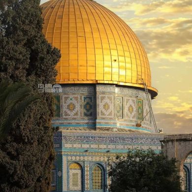 baghdadi Abderrahmane Profile Picture