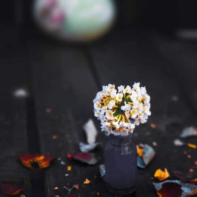 ተስፈኛነኝ ዛሬም