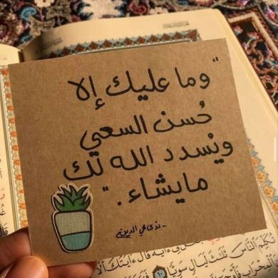 Drn k Profile Picture