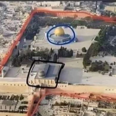 umma1698035940 Profile Picture