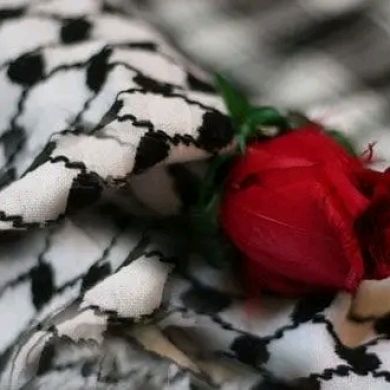 حلي مة Profile Picture