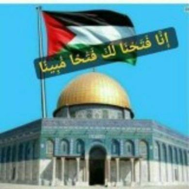 A mejid Sadik profile picture