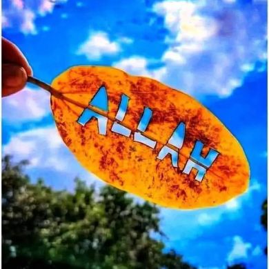 ABUK ABDE Profile Picture