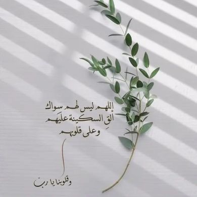 sun shine Profile Picture