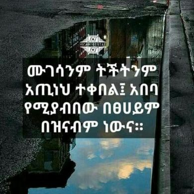 muhamed amin amdellh Profile Picture