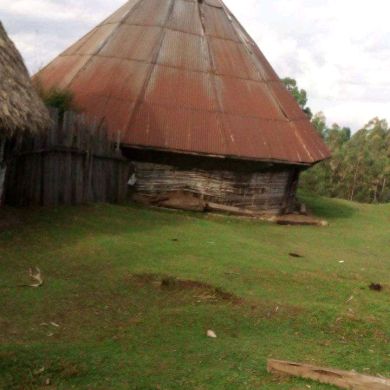 BehiruA profile picture