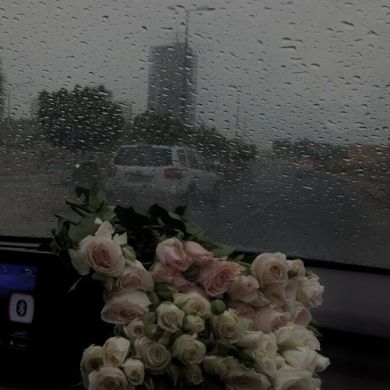 إيناس أم شاهين رحال Profile Picture