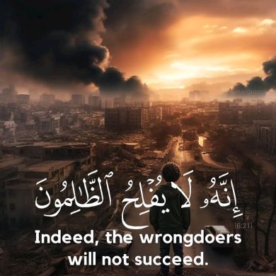 Tofik sermolo Profile Picture