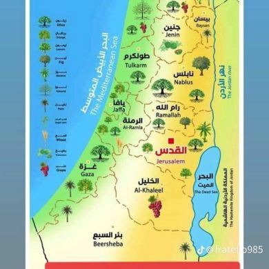 اشملال محمد