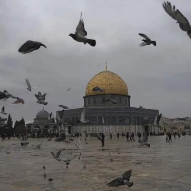 ءالآء الرحمن Profile Picture