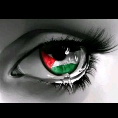 semir Ahmedin Profile Picture