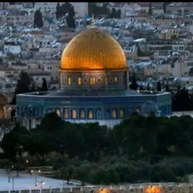 Mohammed Ahmed Profile Picture