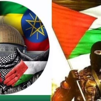 Rabi seid Profile Picture