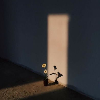 زينب آل علاب