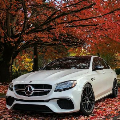 ummaMuhammad90942020