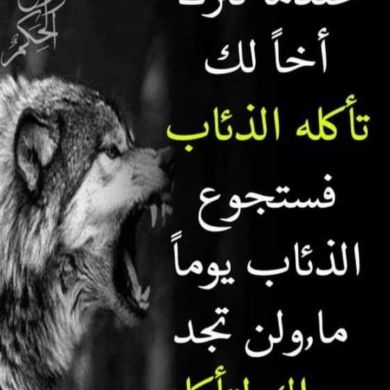 umma1697720682 Profile Picture