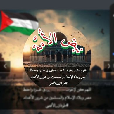 زهراء الدين  رمضان