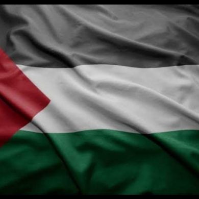 محمود البرنس