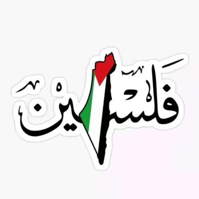 feydu sirur kedir Profile Picture