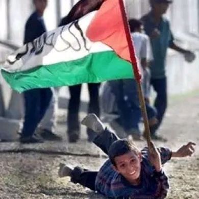 seya J Profile Picture