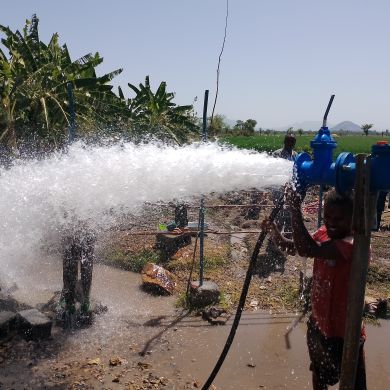 allahisone Profile Picture